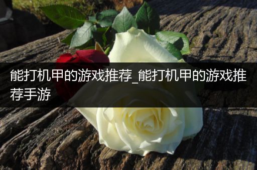 能打机甲的游戏推荐_能打机甲的游戏推荐手游