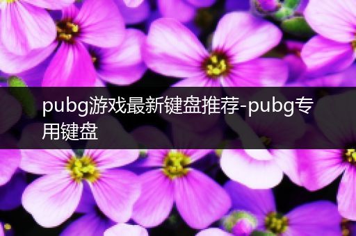 pubg游戏最新键盘推荐-pubg专用键盘