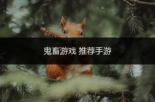 鬼畜游戏 推荐手游