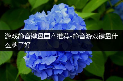 游戏静音键盘国产推荐-静音游戏键盘什么牌子好
