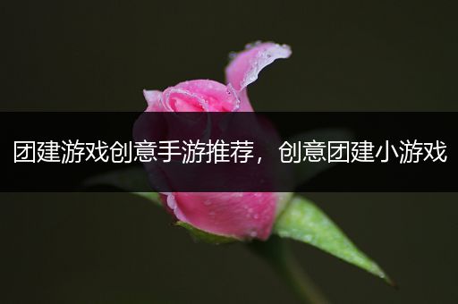 团建游戏创意手游推荐，创意团建小游戏