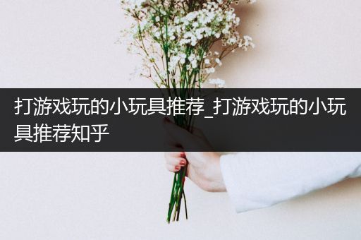 打游戏玩的小玩具推荐_打游戏玩的小玩具推荐知乎