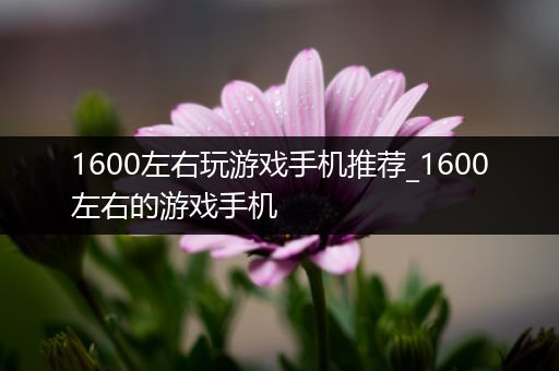 1600左右玩游戏手机推荐_1600左右的游戏手机