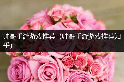 帅哥手游游戏推荐（帅哥手游游戏推荐知乎）
