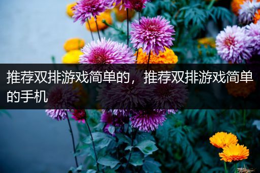 推荐双排游戏简单的，推荐双排游戏简单的手机
