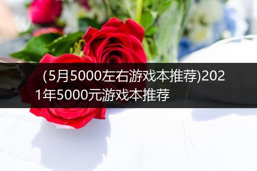 （5月5000左右游戏本推荐)2021年5000元游戏本推荐
