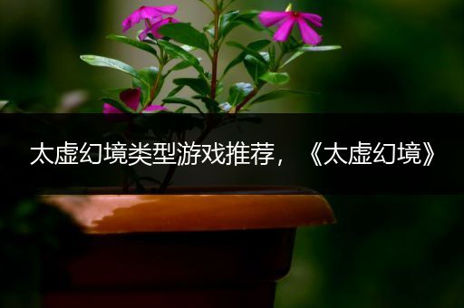 太虚幻境类型游戏推荐，《太虚幻境》