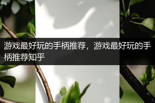 游戏最好玩的手柄推荐，游戏最好玩的手柄推荐知乎
