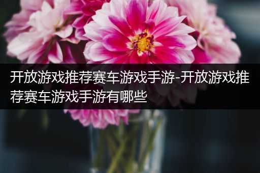 开放游戏推荐赛车游戏手游-开放游戏推荐赛车游戏手游有哪些