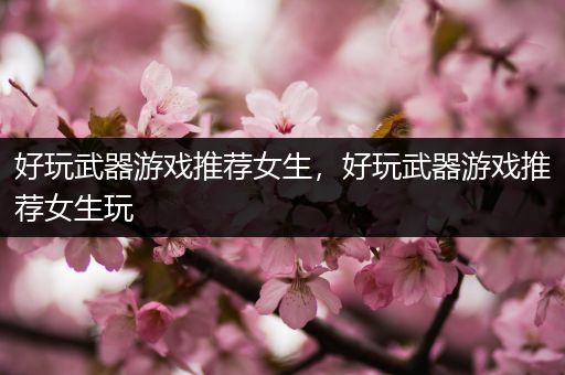 好玩武器游戏推荐女生，好玩武器游戏推荐女生玩
