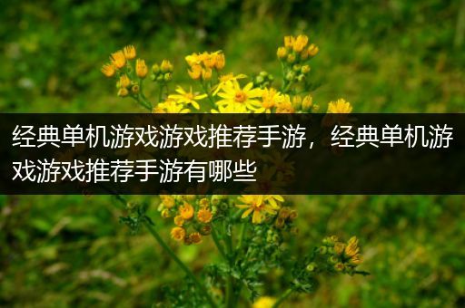 经典单机游戏游戏推荐手游，经典单机游戏游戏推荐手游有哪些