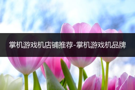掌机游戏机店铺推荐-掌机游戏机品牌