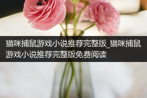 猫咪捕鼠游戏小说推荐完整版_猫咪捕鼠游戏小说推荐完整版免费阅读