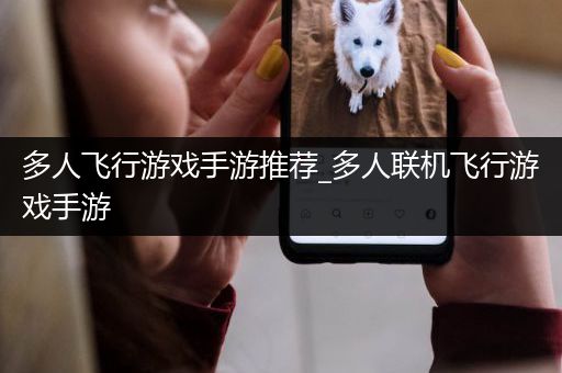 多人飞行游戏手游推荐_多人联机飞行游戏手游