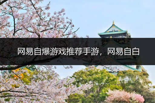 网易自爆游戏推荐手游，网易自白