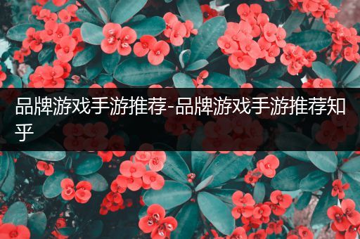 品牌游戏手游推荐-品牌游戏手游推荐知乎