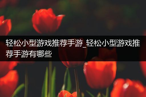 轻松小型游戏推荐手游_轻松小型游戏推荐手游有哪些
