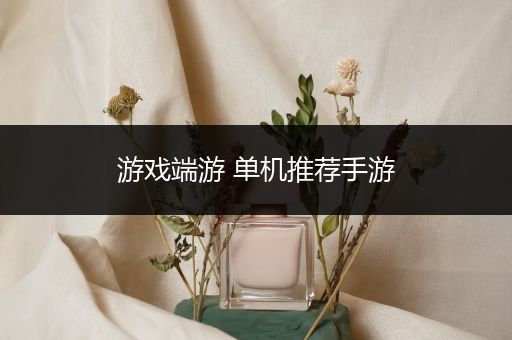 游戏端游 单机推荐手游