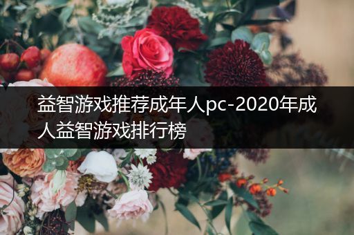 益智游戏推荐成年人pc-2020年成人益智游戏排行榜