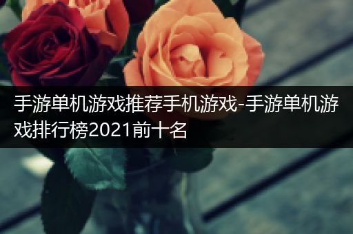 手游单机游戏推荐手机游戏-手游单机游戏排行榜2021前十名
