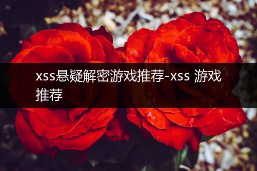 xss悬疑解密游戏推荐-xss 游戏推荐