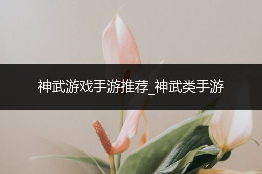 神武游戏手游推荐_神武类手游
