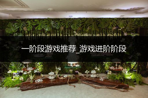 一阶段游戏推荐_游戏进阶阶段