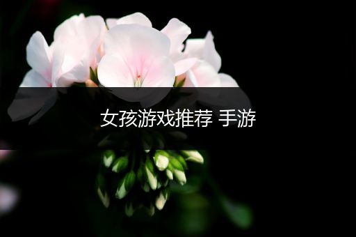 女孩游戏推荐 手游