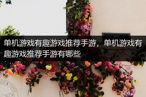 单机游戏有趣游戏推荐手游，单机游戏有趣游戏推荐手游有哪些