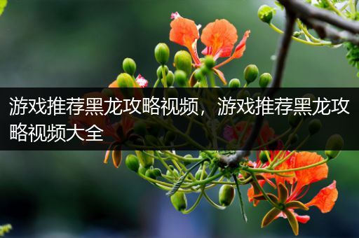 游戏推荐黑龙攻略视频，游戏推荐黑龙攻略视频大全