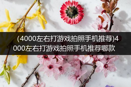 （4000左右打游戏拍照手机推荐)4000左右打游戏拍照手机推荐哪款