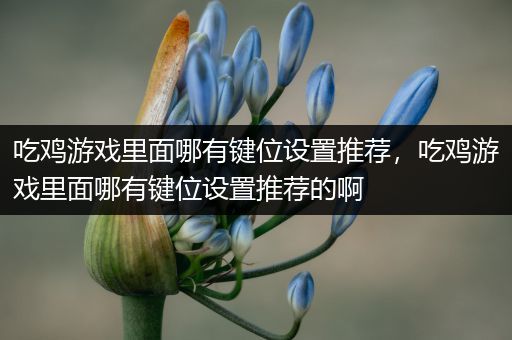 吃鸡游戏里面哪有键位设置推荐，吃鸡游戏里面哪有键位设置推荐的啊