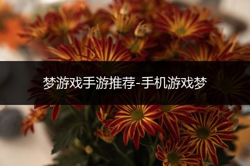 梦游戏手游推荐-手机游戏梦