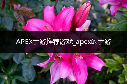 APEX手游推荐游戏_apex的手游