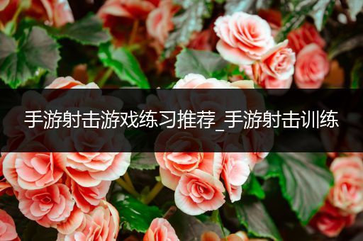 手游射击游戏练习推荐_手游射击训练
