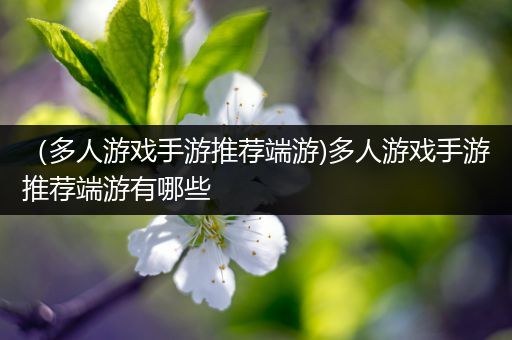 （多人游戏手游推荐端游)多人游戏手游推荐端游有哪些