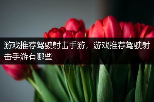 游戏推荐驾驶射击手游，游戏推荐驾驶射击手游有哪些