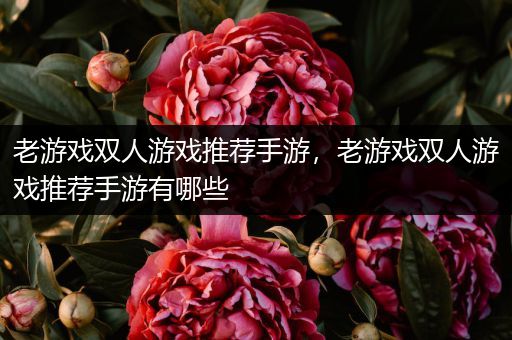 老游戏双人游戏推荐手游，老游戏双人游戏推荐手游有哪些