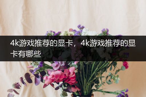 4k游戏推荐的显卡，4k游戏推荐的显卡有哪些