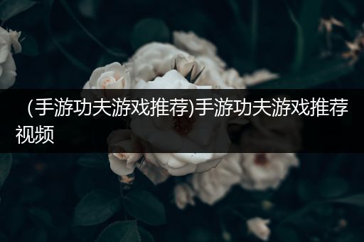 （手游功夫游戏推荐)手游功夫游戏推荐视频