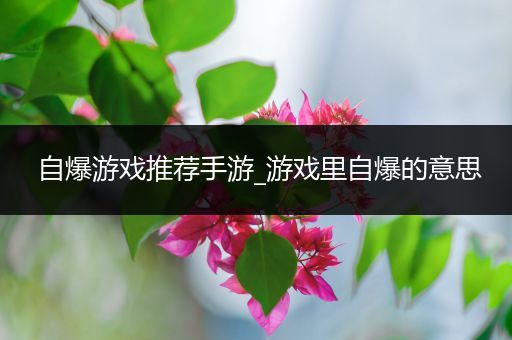 自爆游戏推荐手游_游戏里自爆的意思