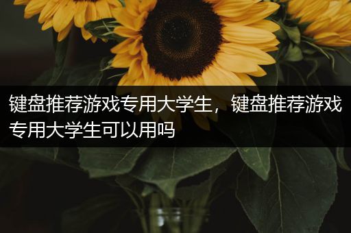 键盘推荐游戏专用大学生，键盘推荐游戏专用大学生可以用吗