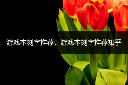 游戏本刻字推荐，游戏本刻字推荐知乎