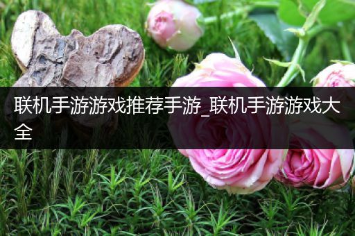 联机手游游戏推荐手游_联机手游游戏大全