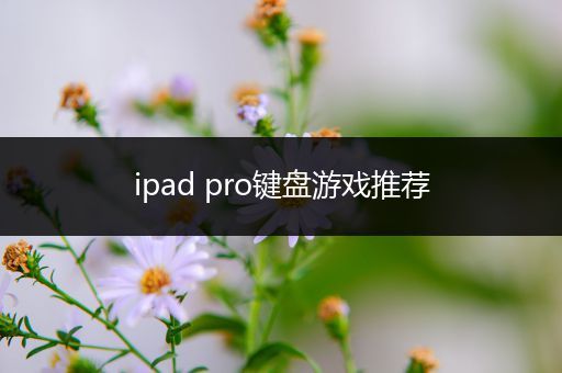 ipad pro键盘游戏推荐
