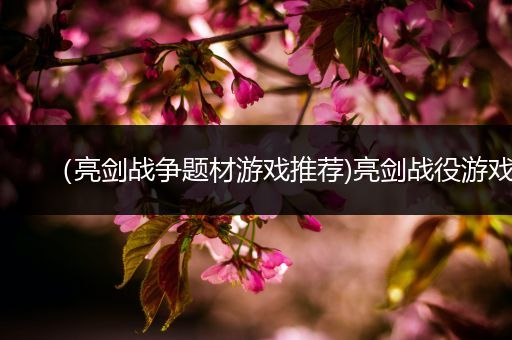 （亮剑战争题材游戏推荐)亮剑战役游戏