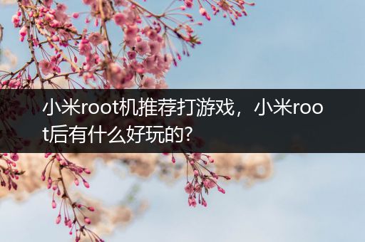 小米root机推荐打游戏，小米root后有什么好玩的?