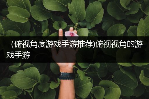 （俯视角度游戏手游推荐)俯视视角的游戏手游