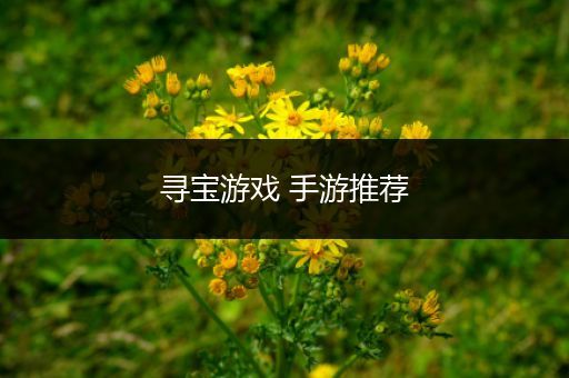 寻宝游戏 手游推荐
