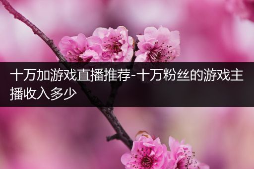 十万加游戏直播推荐-十万粉丝的游戏主播收入多少